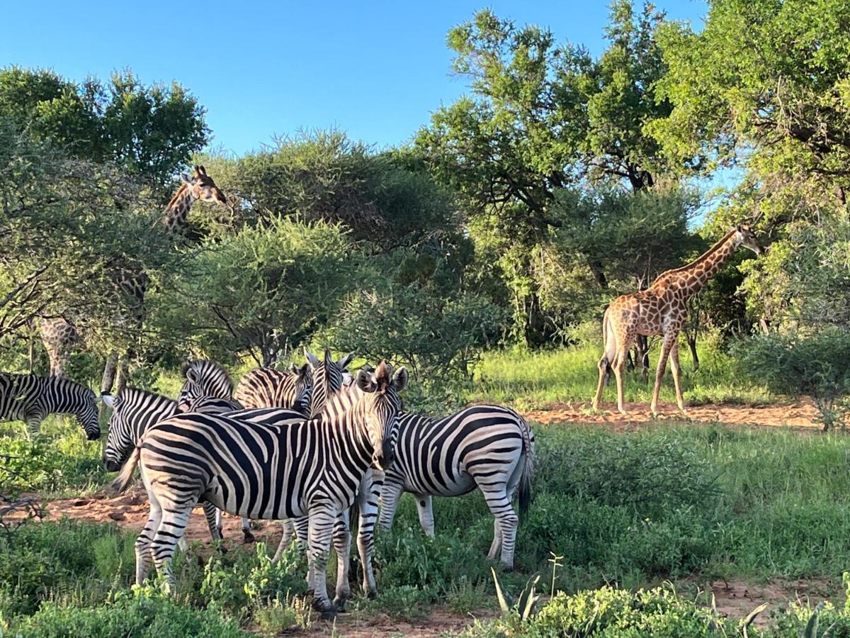 Lindiwe Safari Lodge Hoedspruit Ngoại thất bức ảnh